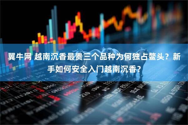 翼牛网 越南沉香最贵三个品种为何独占鳌头？新手如何安全入门越南沉香？