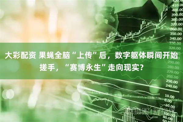 大彩配资 果蝇全脑“上传”后，数字躯体瞬间开始搓手，“赛博永生”走向现实？