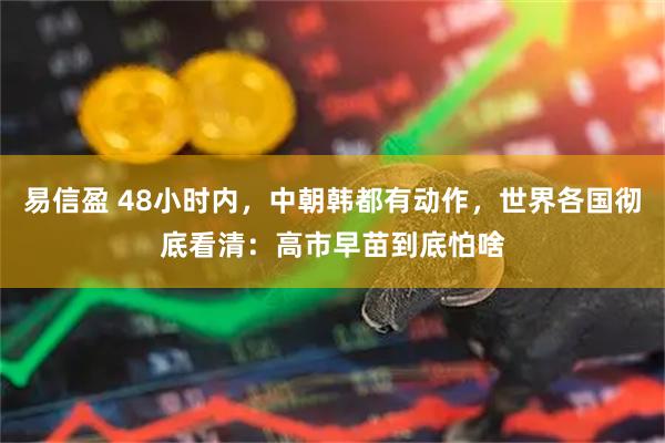 易信盈 48小时内，中朝韩都有动作，世界各国彻底看清：高市早苗到底怕啥