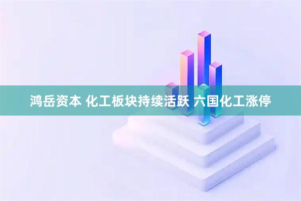 鸿岳资本 化工板块持续活跃 六国化工涨停