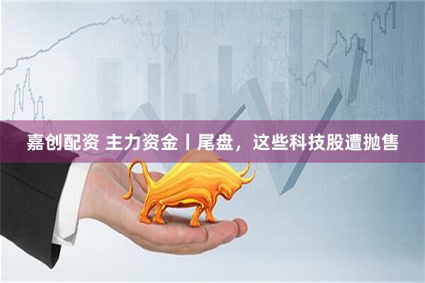 嘉创配资 主力资金丨尾盘，这些科技股遭抛售